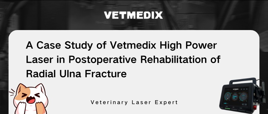 Comhroinnt cás VetMedix 丨 Teiripe léasair ardchumhachta in athshlánú iar-obráide briste gathacha ulna