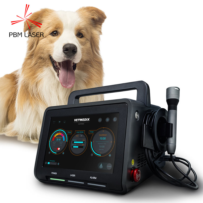 Léasair Teiripe Péine Peataí Canine 30W 450nm 650nm 810nm 808nm 915nm 1064nm